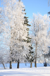 Similar image 2378475