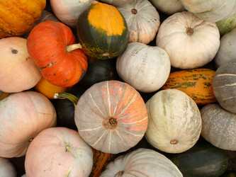 Similar image 2378499