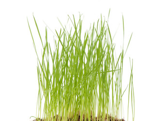 Similar image 2378757