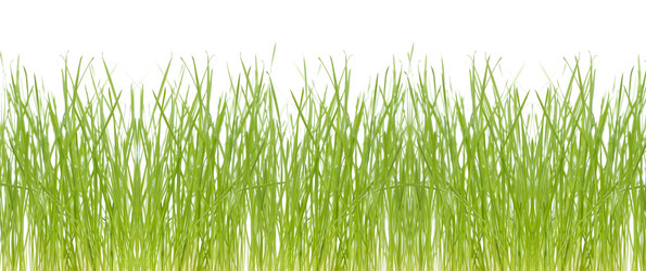 Similar image 2378758