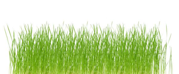 Similar image 2378838