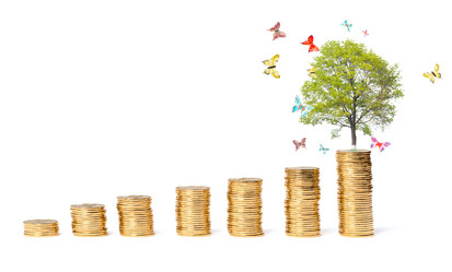 Similar image 2378925