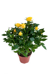 Similar image 2379098