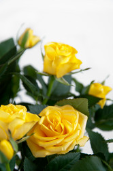 Similar image 2379142