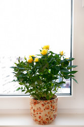 Similar image 2379156