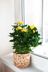 Similar image 2379161