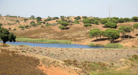 Similar image 2379347