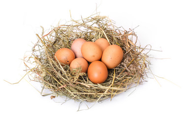 Similar image 2379488