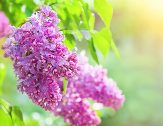 Similar image 2379516