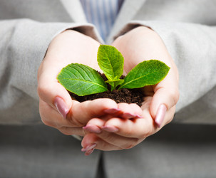 Similar image 2379522