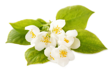 Similar image 2379634