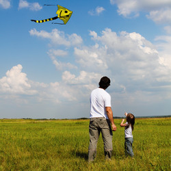 Similar image 2379646