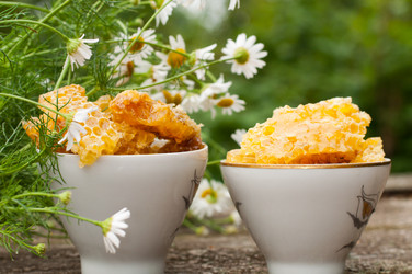 Similar image 2379690