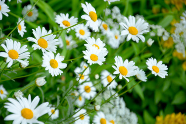 Similar image 2379694