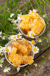 Similar image 2379736