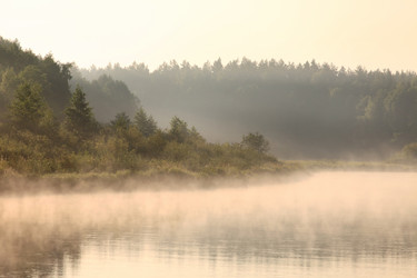 Similar image 2380646