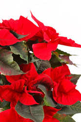 Similar image 2380678