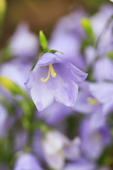 Similar image 2380686