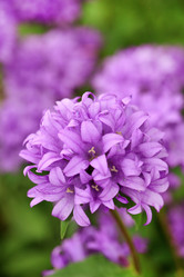 Similar image 2380688