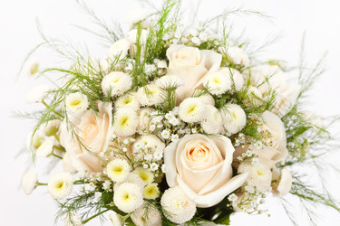 Similar image 2380693