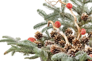 Similar image 2380701