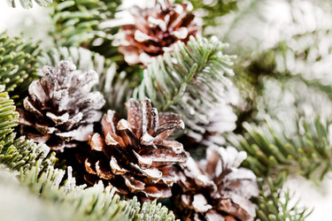 Similar image 2380703