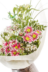 Similar image 2380704