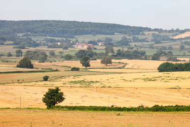 Similar image 2380927