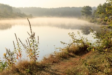 Similar image 2381062