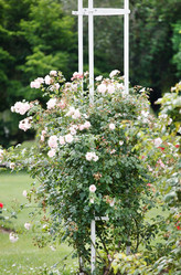 Similar image 2381099