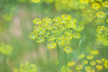 Similar image 2381101