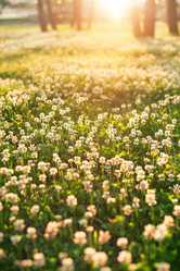 Similar image 2381107