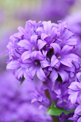 Similar image 2381115