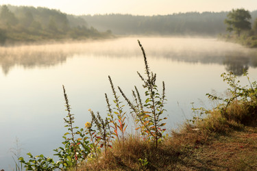 Similar image 2381145