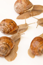 Similar image 2381150