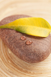 Similar image 2381154