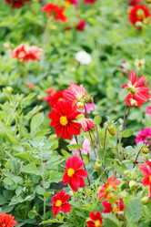 Similar image 2381214