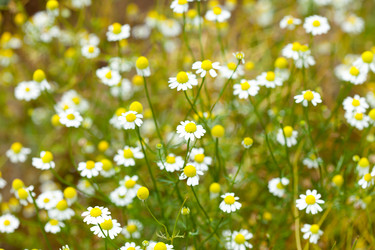 Similar image 2381216