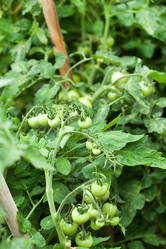 Similar image 2381221