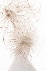 Similar image 2381225