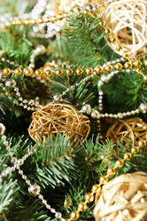 Similar image 2381288