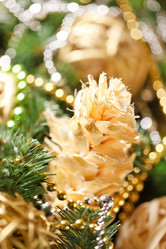 Similar image 2381289