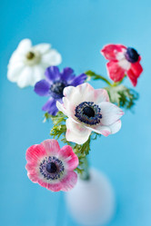 Similar image 2381291