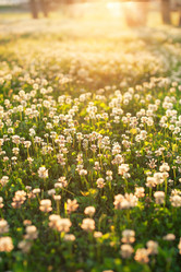 Similar image 2381391