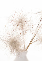 Similar image 2381470