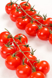 Similar image 2381471