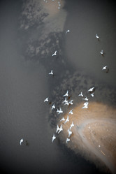 Similar image 2381623