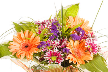 Similar image 2381632