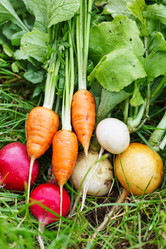 Similar image 2381635