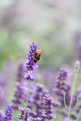 Similar image 2381683